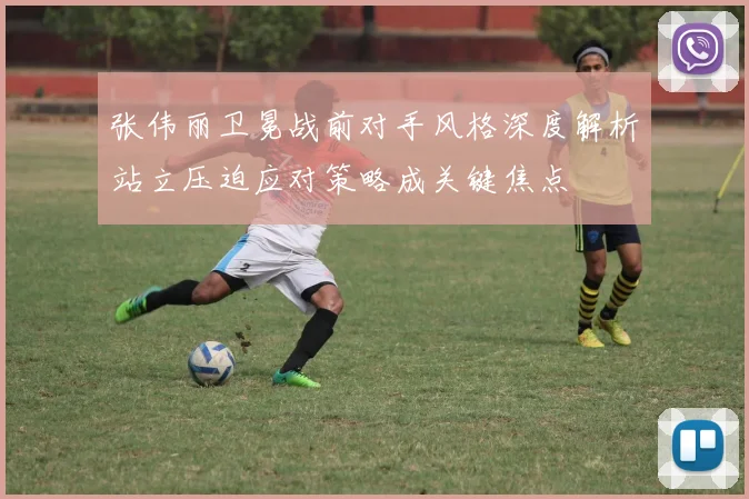 张伟丽卫冕战前对手风格深度解析站立压迫应对策略成关键焦点