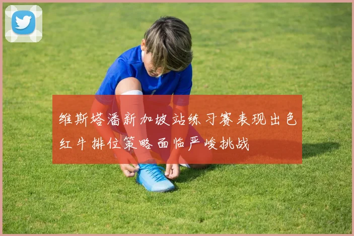 维斯塔潘新加坡站练习赛表现出色红牛排位策略面临严峻挑战